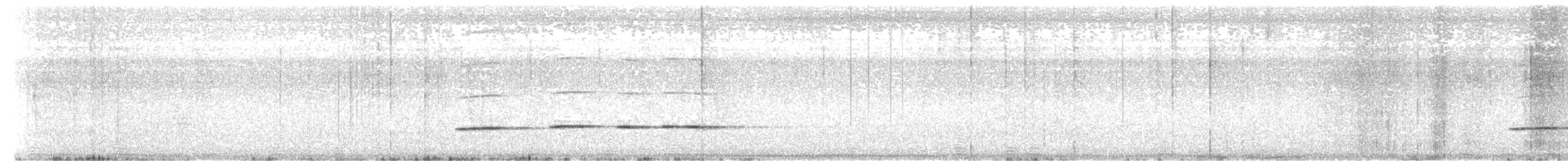 Tavus Guguğu - ML643356681