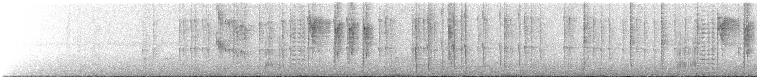 Амазилія-берил синьохвоста - ML643357063