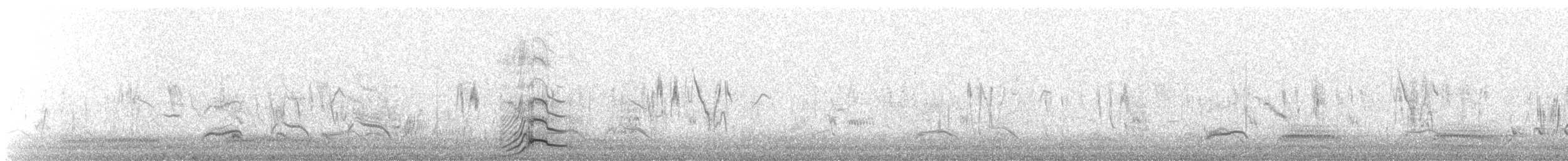 Cygne tuberculé - ML643357522