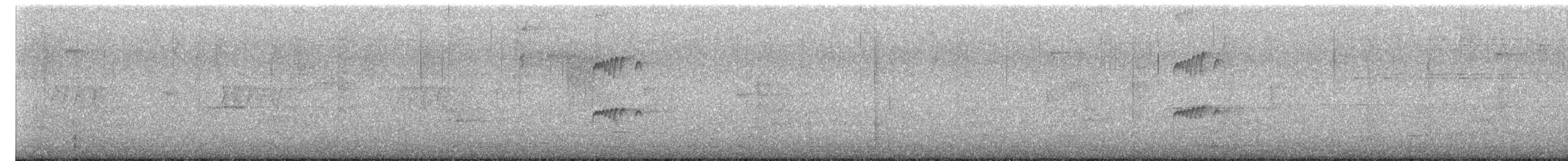 Northern Tropical Pewee - ML643357601