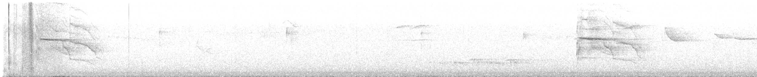 Fleckenbauch-Ameisenpitta - ML643358742