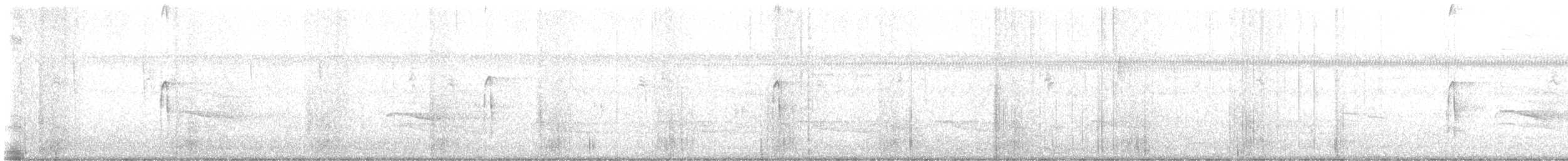 Hairy Woodpecker - ML643358764