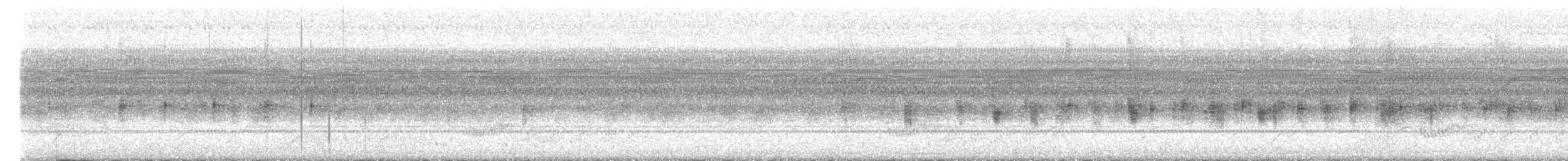 コヨタカ - ML643358952