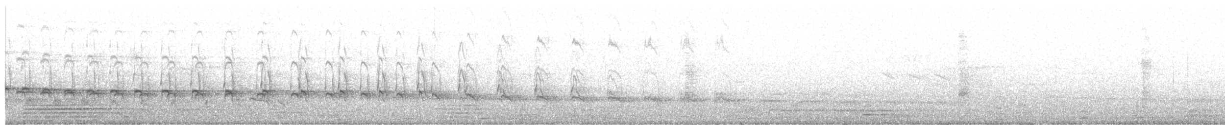 ヨコジマサボテンミソサザイ - ML643358982