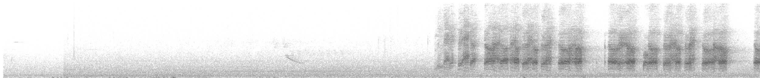 ヨコジマサボテンミソサザイ - ML643358990