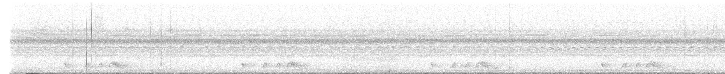 アカヨタカ - ML643359074