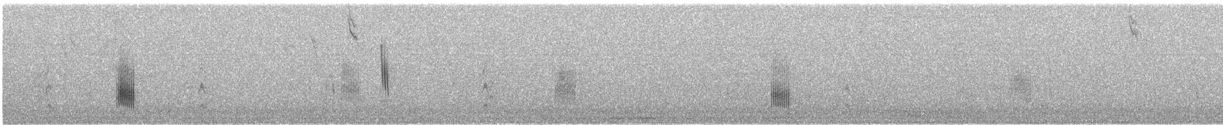 Sedge Wren - ML643359669