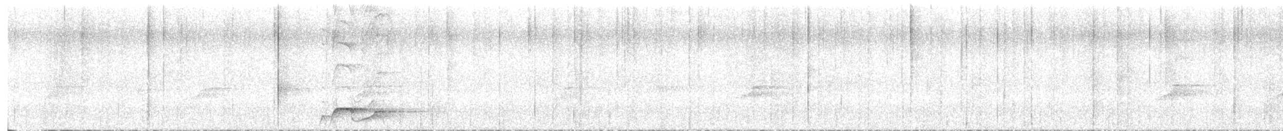 Bar-bellied Pitta - ML643359681