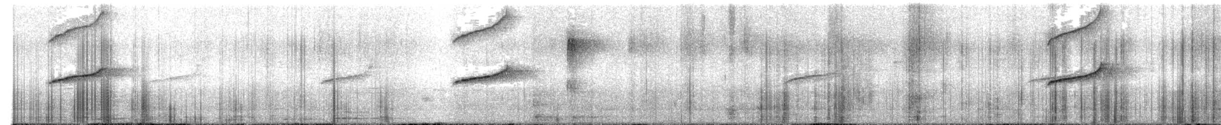 Txioa sp. - ML643360266