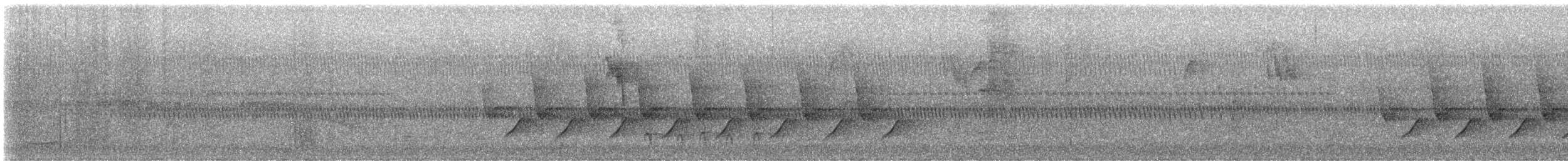 Carolina Wren - ML643361650