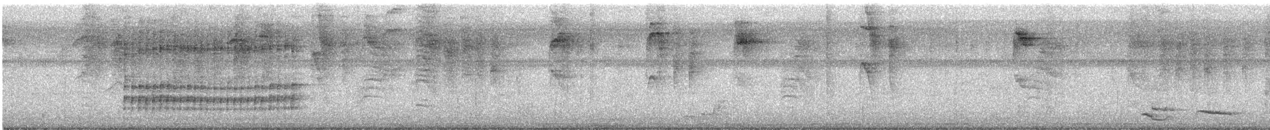 White-browed Gnatcatcher - ML643363492
