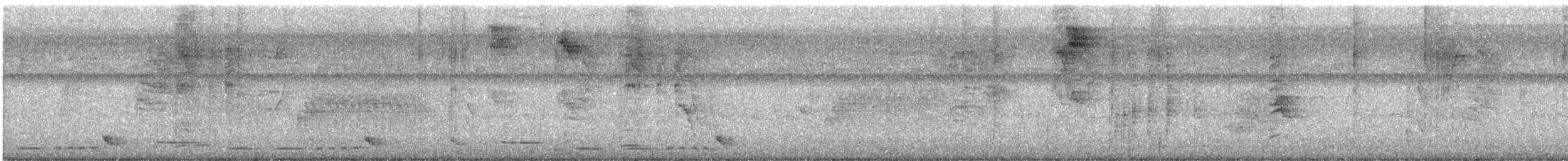 Rufous-and-white Wren - ML643363503