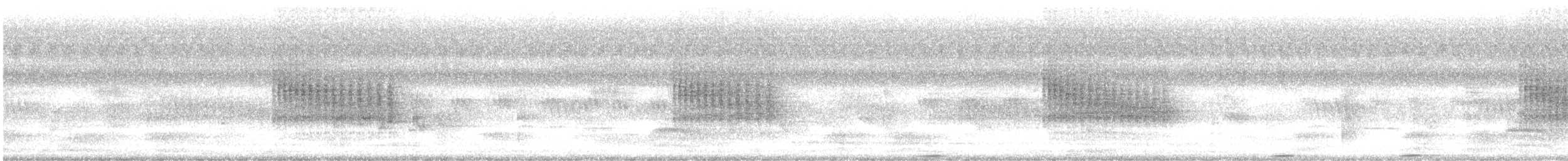 Common Iora - ML643365238
