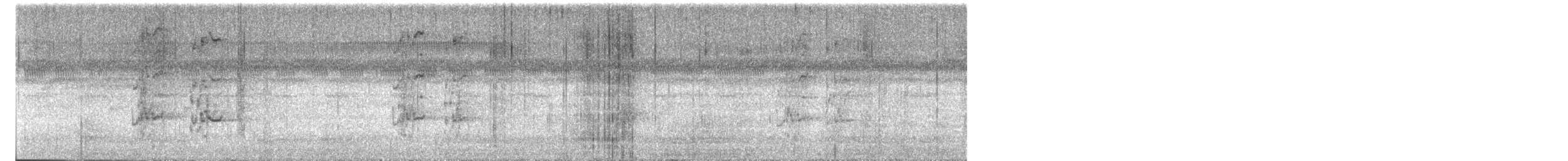 Аратинга ямайський (підвид astec/vicinalis) - ML643368646