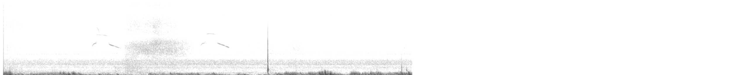 Busard des roseaux - ML643368725