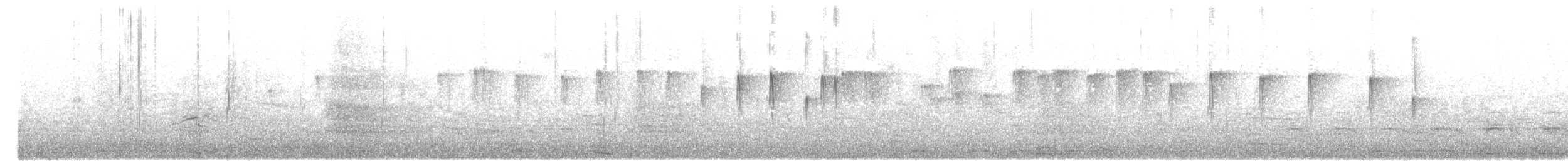 Sick's Swift - ML643369484