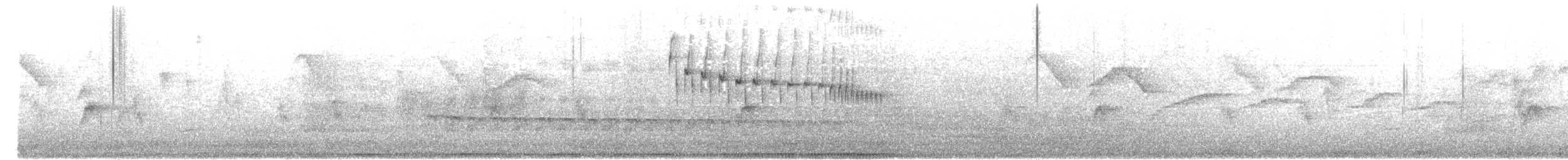 Araukarya Makaskuyruğu - ML643370026