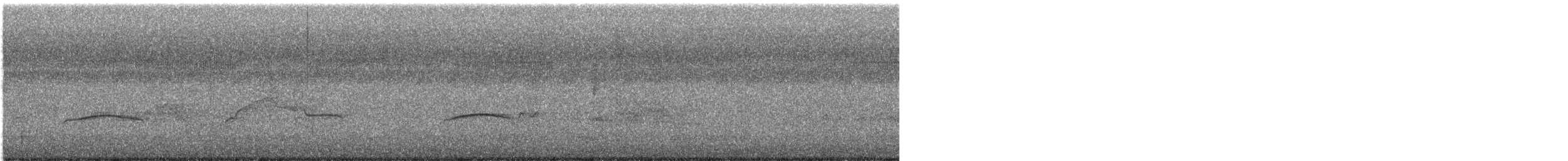 Western Wood-Pewee - ML643370283