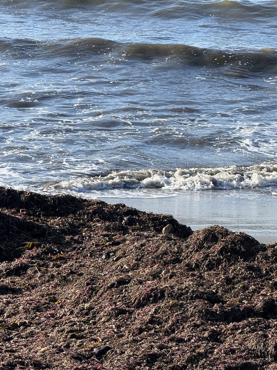 Буулгат хөмрөг - ML643370431