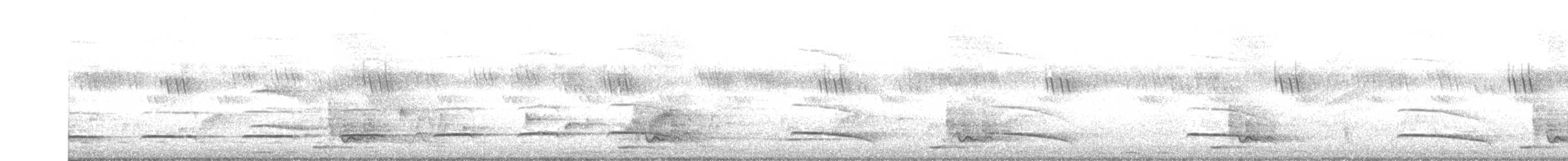 Pearl-spotted Owlet - ML643370914