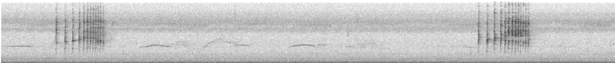 Белоухий крапивник - ML643371377