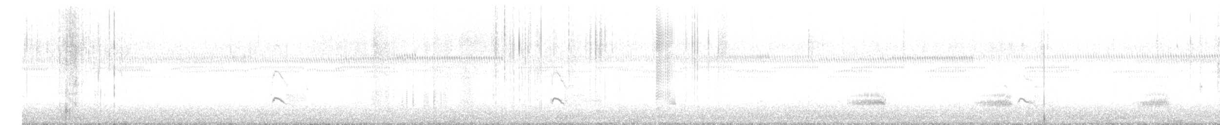 Хиазатын тодорхойгүй зүйл - ML643372435