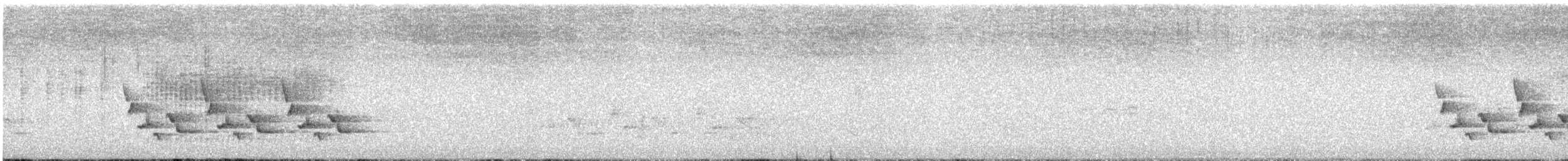 Carolina Wren - ML643373204