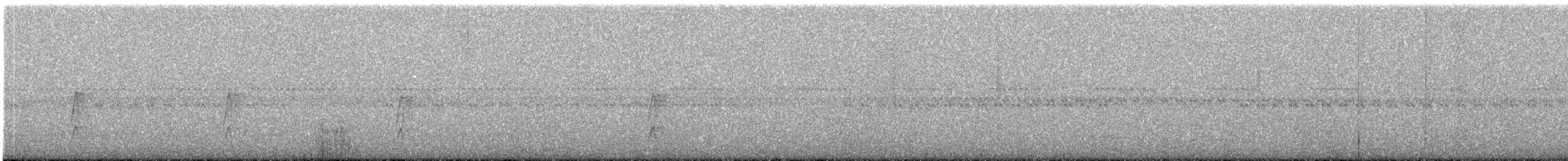 チャバラオリーブハエトリ - ML643374023