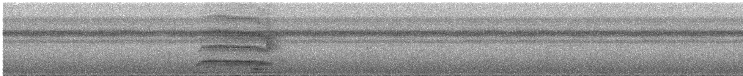 Microtyran coiffé - ML643374106