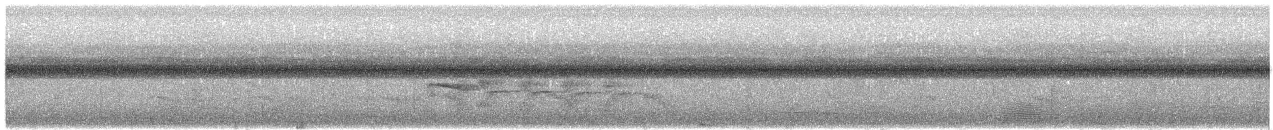 Southern Beardless-Tyrannulet - ML643376822