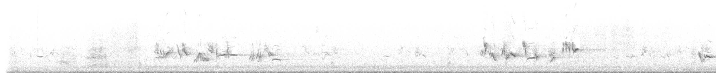 Townsend's Solitaire - ML643377007