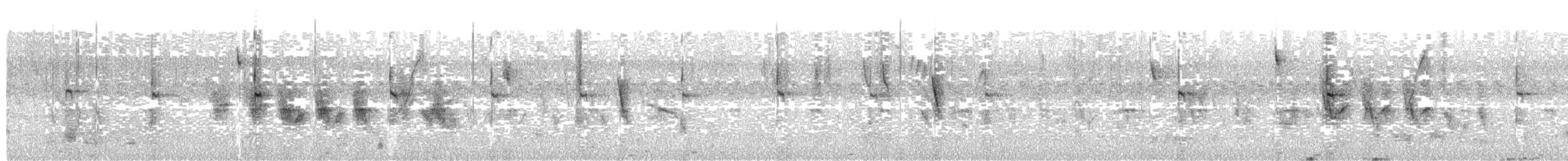Solitary Sandpiper - ML643377672