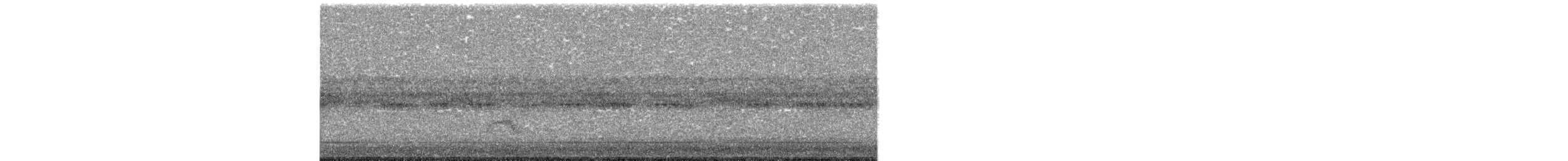 Catharus sp. - ML643378501
