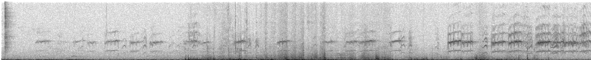 Lilac-tailed Parrotlet - ML643378642