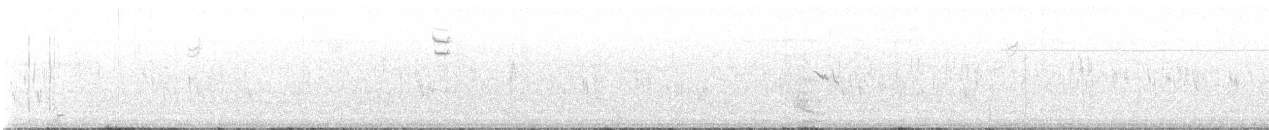 ネルソントゲオヒメドリ - ML643383466