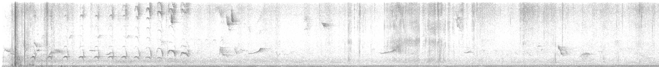 Black-crested Antshrike - ML643384790