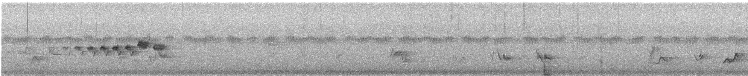 Black-throated Gray Warbler - ML643386417