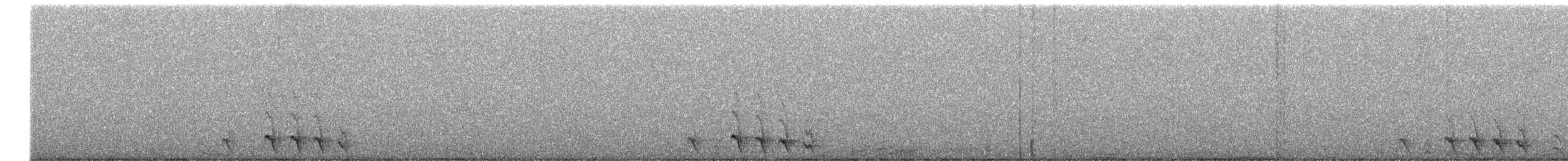 Elf Owl - ML643388594