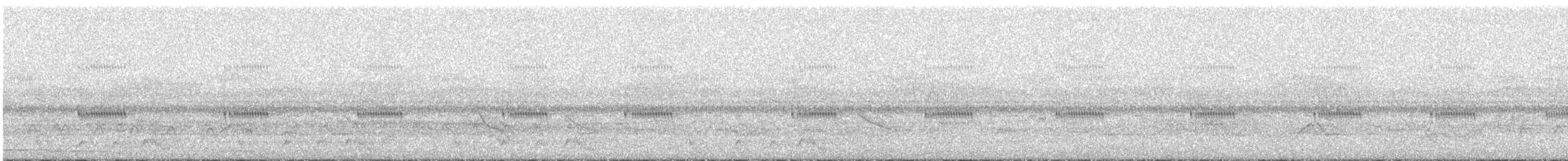 アカヨタカ - ML643389968