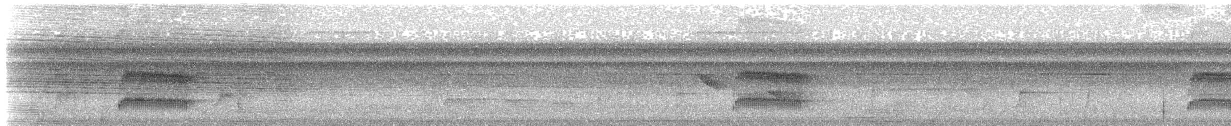 Double-banded Pygmy-Tyrant - ML643391327