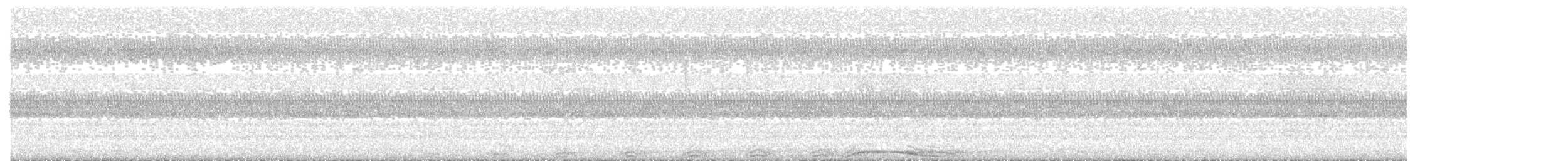 Barred Owl - ML643391398