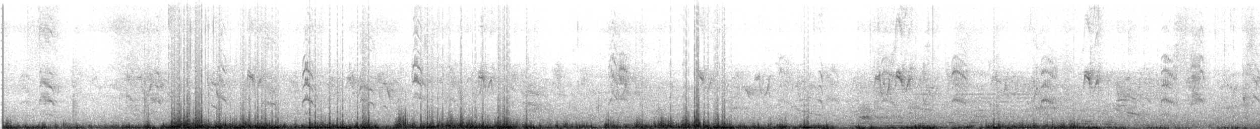 Snowy-crowned Tern - ML643391575