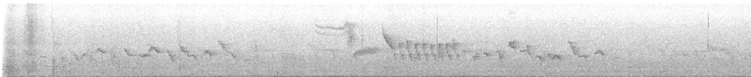 Bewick's Wren - ML643391602