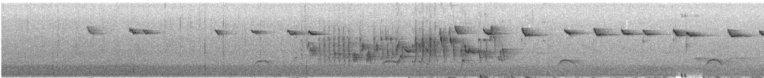 Thorn-tailed Rayadito - ML643392629