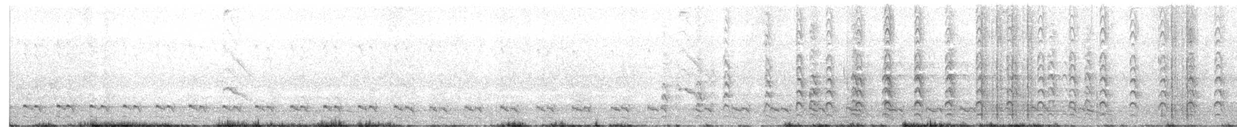 Ash-throated Crake - ML643393054