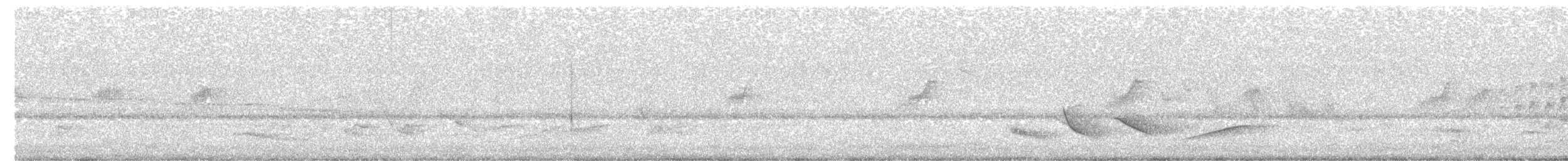 Sclérure à poitrine rousse - ML643393215