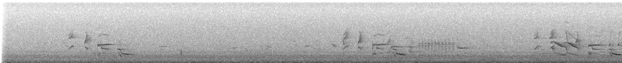 Austral Blackbird - ML643393363
