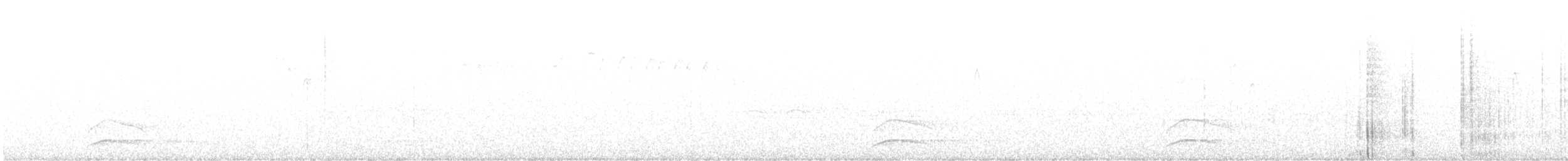 Canada Jay - ML643393592