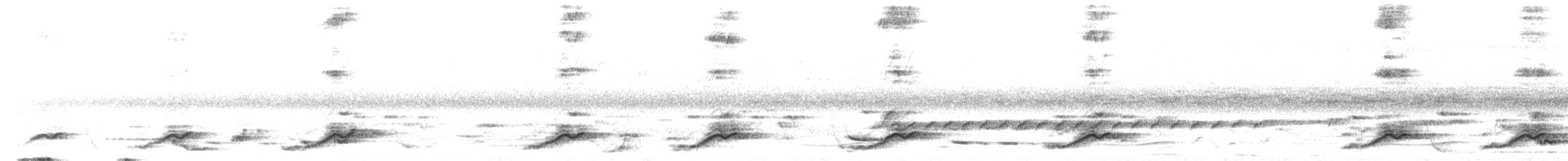 Méliphage à oreillons bleus - ML643394426