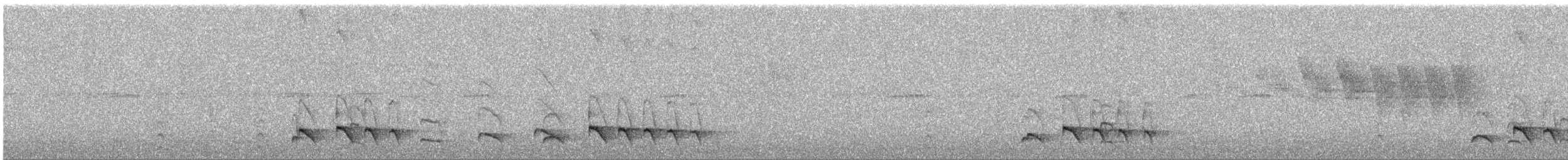 Blackish Antbird - ML643394985